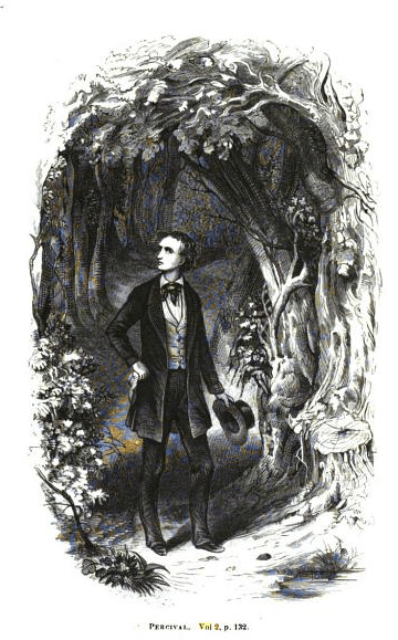 Percival in the Woods